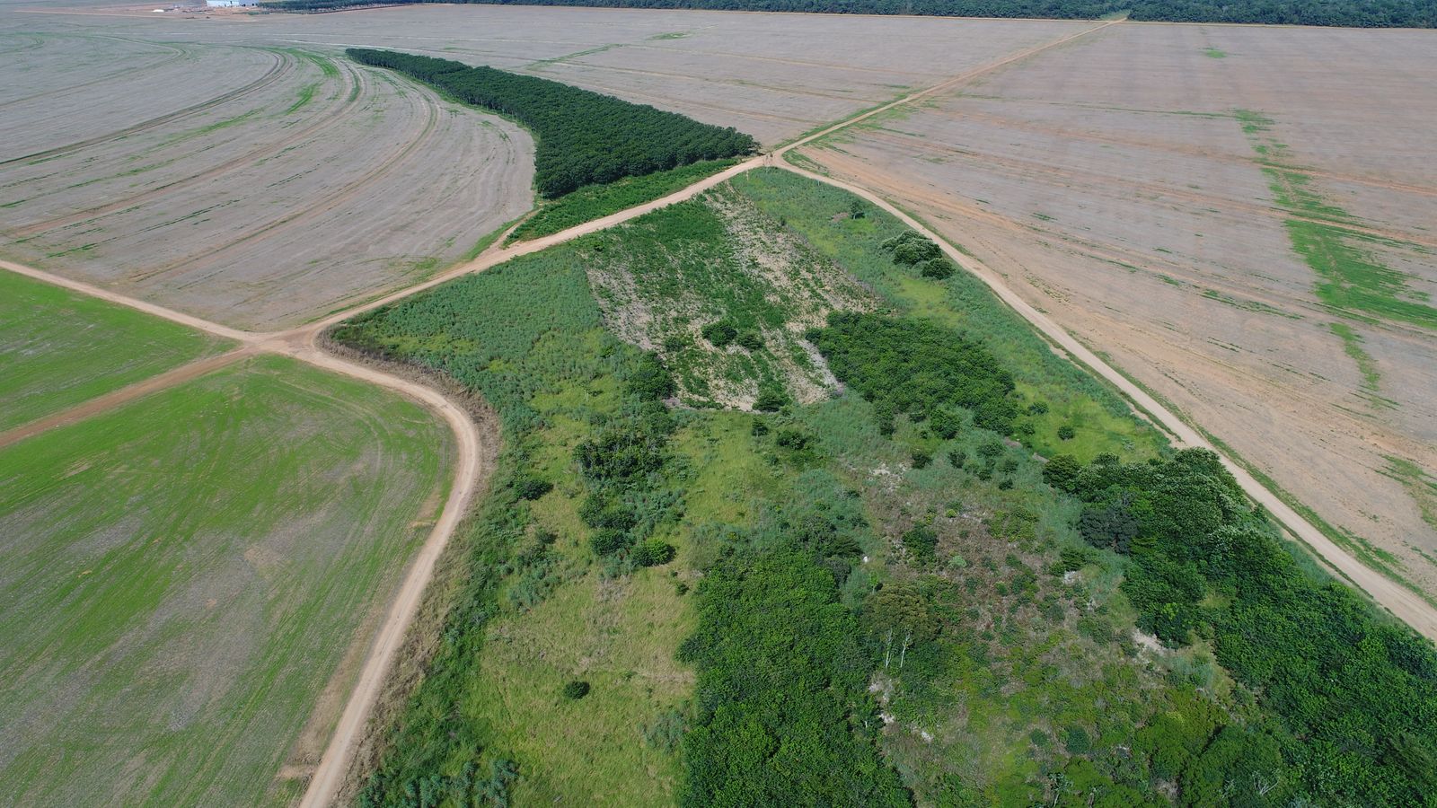 UA - Fazenda Tanguro, Querência/MT